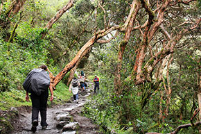 Inka Trail Machupicchu
