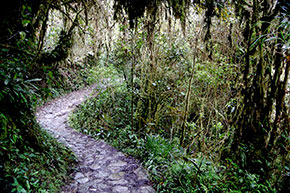 Inka Trail Machu Picchu